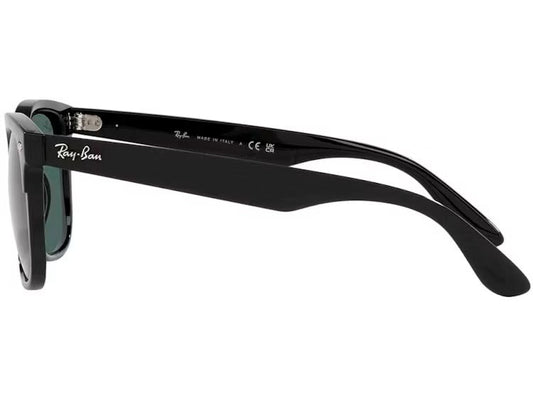 Ray-Ban Steve RB4487 6629R5